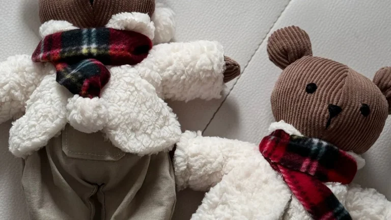 Deux ours en peluche avec écharpes posés sur un canapé, illustration d'une peluche lestée pour enfant ou adulte