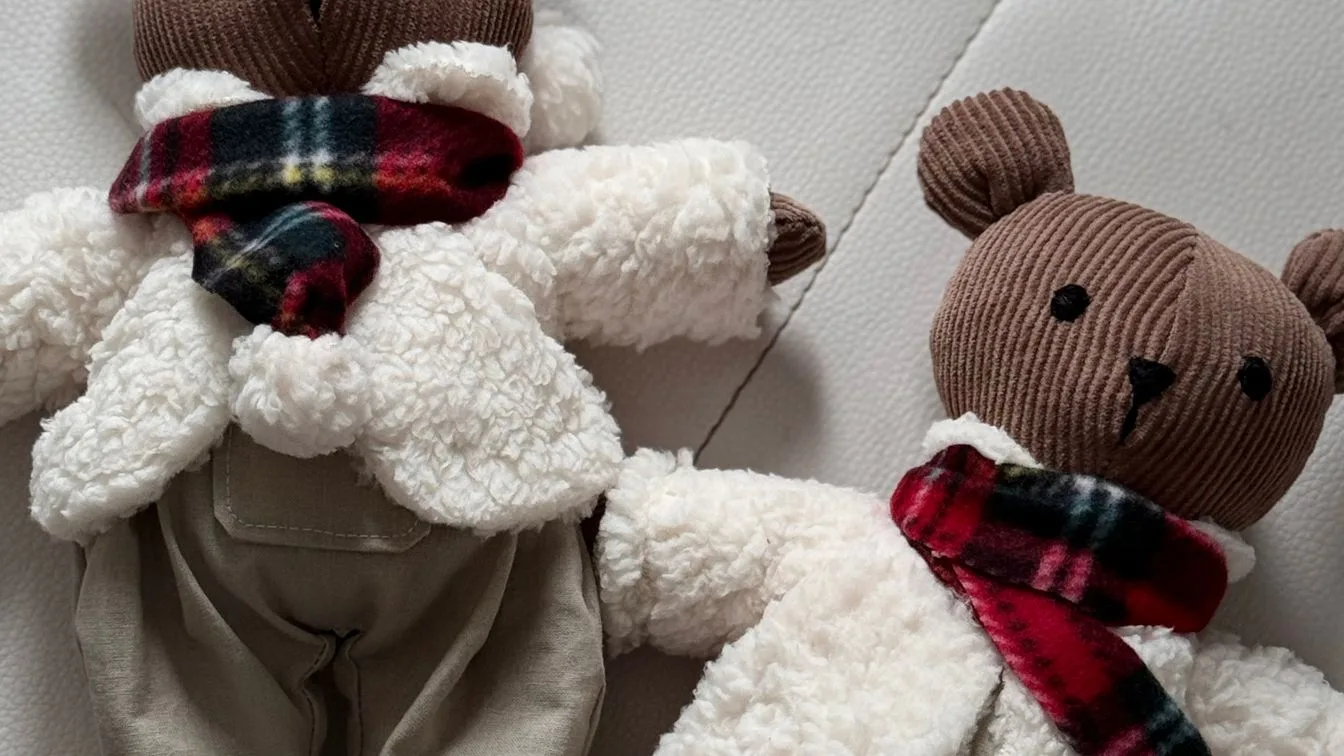 Deux ours en peluche avec écharpes posés sur un canapé, illustration d'une peluche lestée pour enfant ou adulte